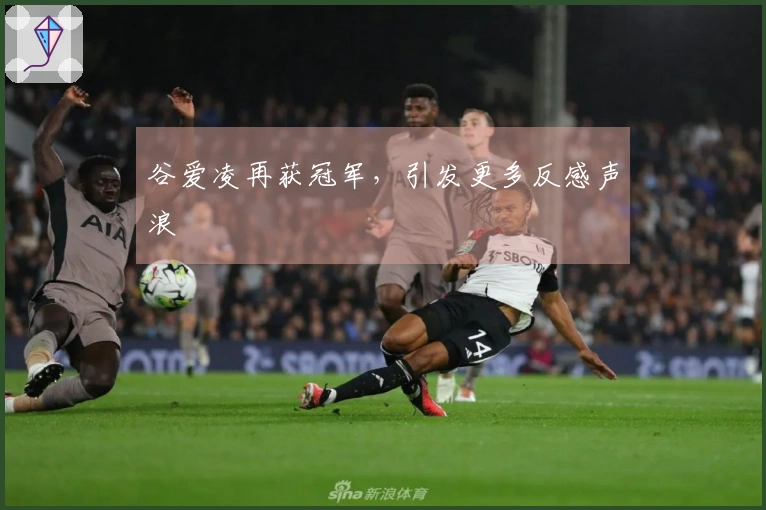 谷爱凌再获冠军，引发更多反感声浪