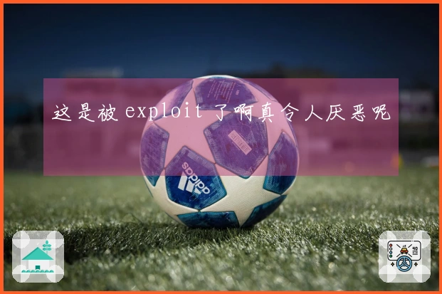 这是被 exploit 了啊真令人厌恶呢