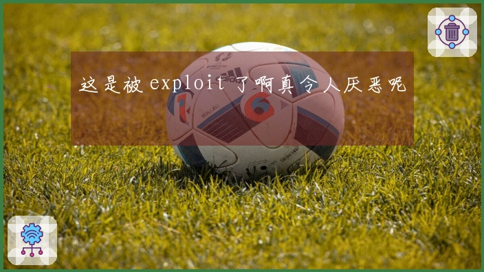 这是被 exploit 了啊真令人厌恶呢