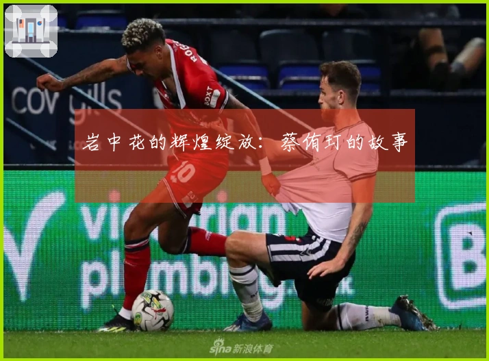 岩中花的辉煌绽放：蔡侑玎的故事