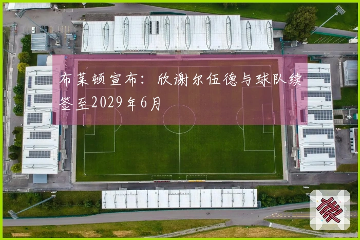 布莱顿宣布：欣谢尔伍德与球队续签至2029年6月